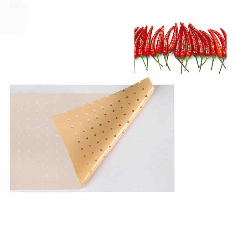 capsicum plaster _ Kongdymedical (7).jpg